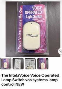 IntelaVoice  Voice Operated Switch