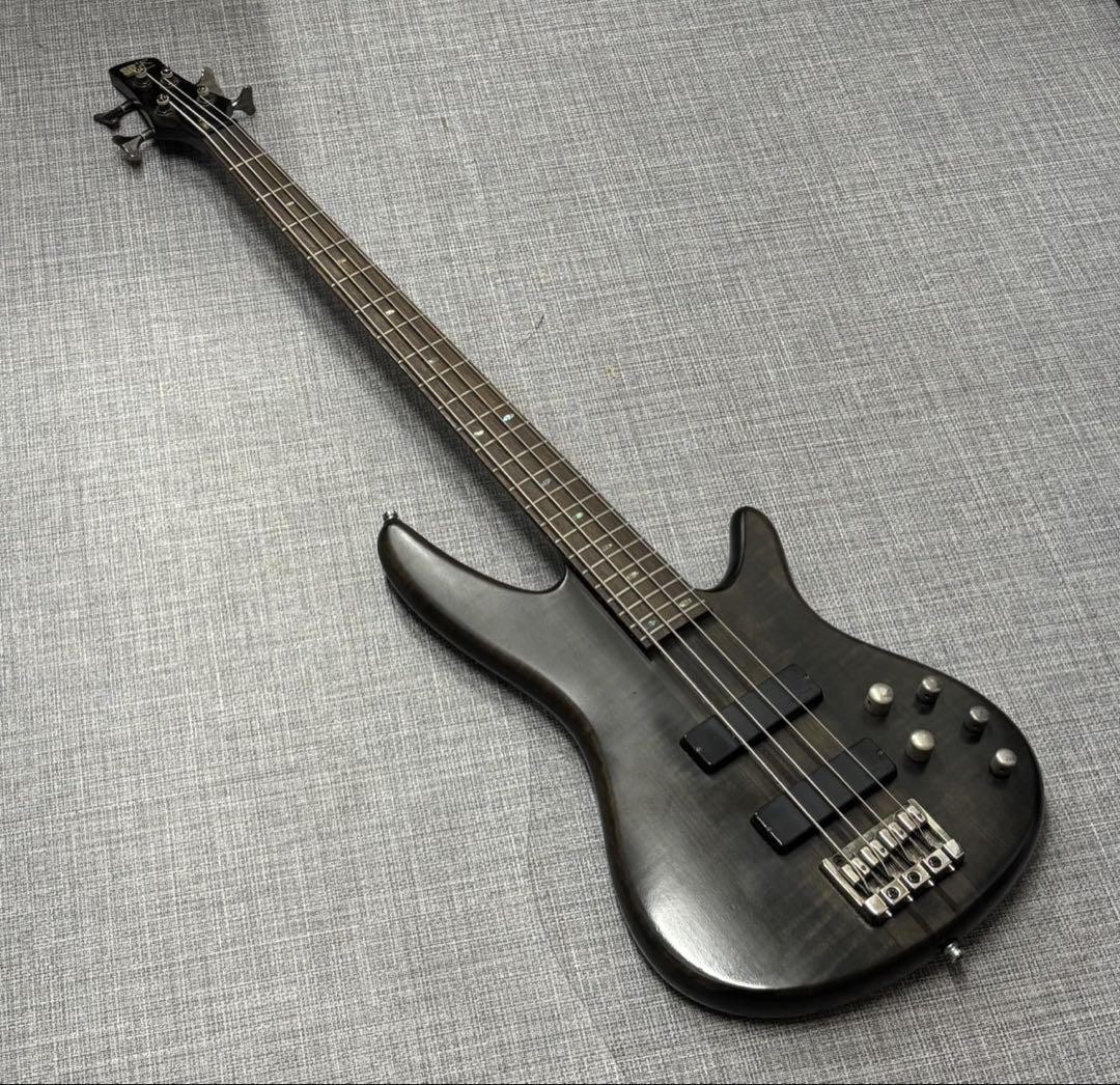 Ibanez アイバニーズ SDGR ベース SR900FM bartolini Ibanez Sdgr Base Sr900Fm Bartolini | eBay