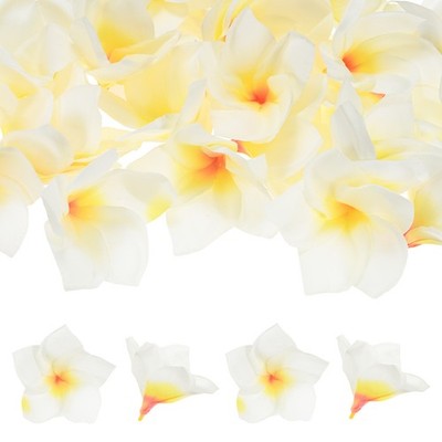 30er-Pack Künstliche Plumeria Blumen, 10cm, Weiß, für DIY/Deko