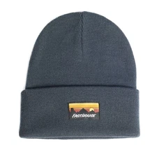 Fasthouse Silhouette Beanie