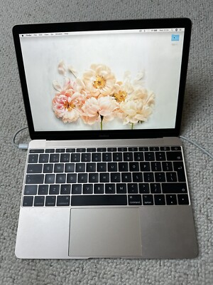 2017Apple MacBook12 8GB 256GB バッテリー交換済み！ 8GB MacBook