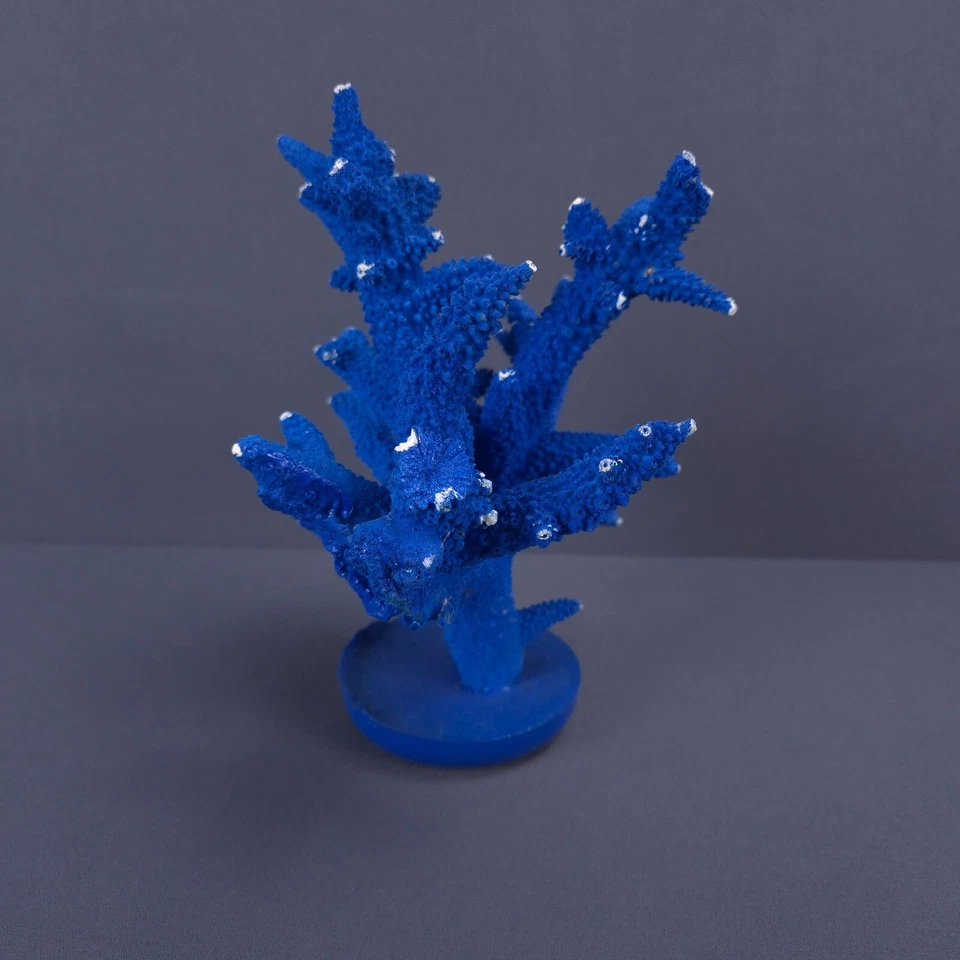 Escultura Coral Duro Azul Grueso Tentáculos Náutico Mar Medio 7"H x 6"W Base Foto 4 de 4