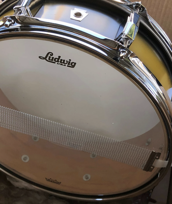 Ludwig 5
