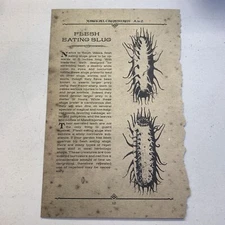 The  Wizarding Trunk Harry Potter Flesh Eating Slug & Familiars Book Page