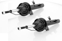 2X StoßDäMpfer Gasdruck Vorne FüR CitroëN C2, C3 Ab Bj. 2002->, Peugeot 1007-