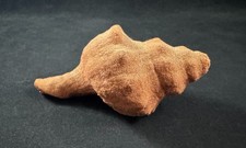 Vintage Colored Sandstone Conch Shell Figurine Paperweight