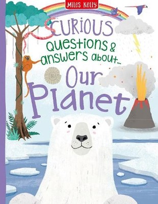 Curious Questions & Answers About Our Plane by Camilla De la Bedoyere 1786174448