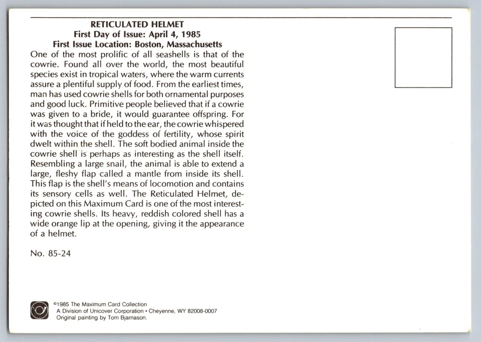 #2117-21 Seashells Set of 4 FDC Maxi Cards - Image 2 of 4