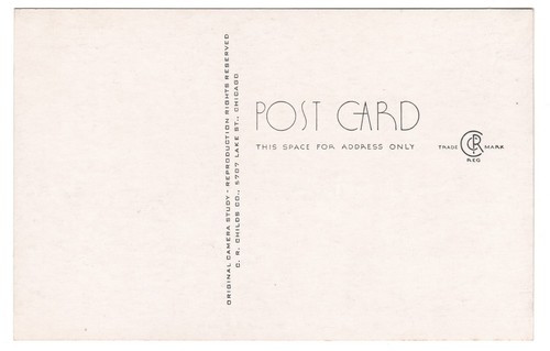 Sand Ripples Duneland Camera Study Postcard Chesterton Porter Indiana Dunes - Picture 2 of 2