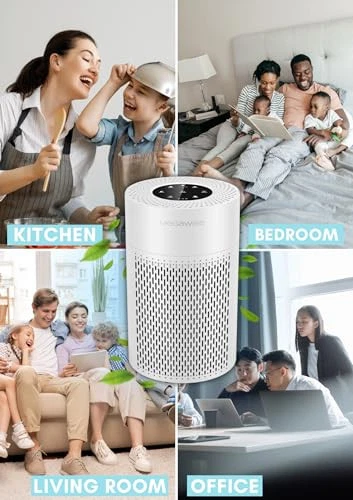 Air Purifier for Home, Bedroom & Office, H13 True HEPA Filter, Smart Air