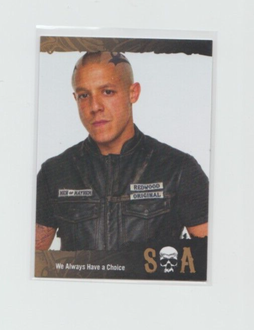 Cryptozoic Sons of Anarchy Season 4 & 5 Base Trading Card Theo Rossi Juice #35