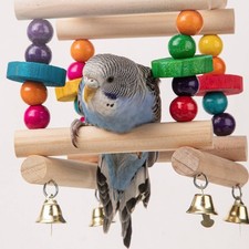 Wooden Avian Ladder Colorful Parrot Climbing Toy gnawSafe for Indoor, Parrots