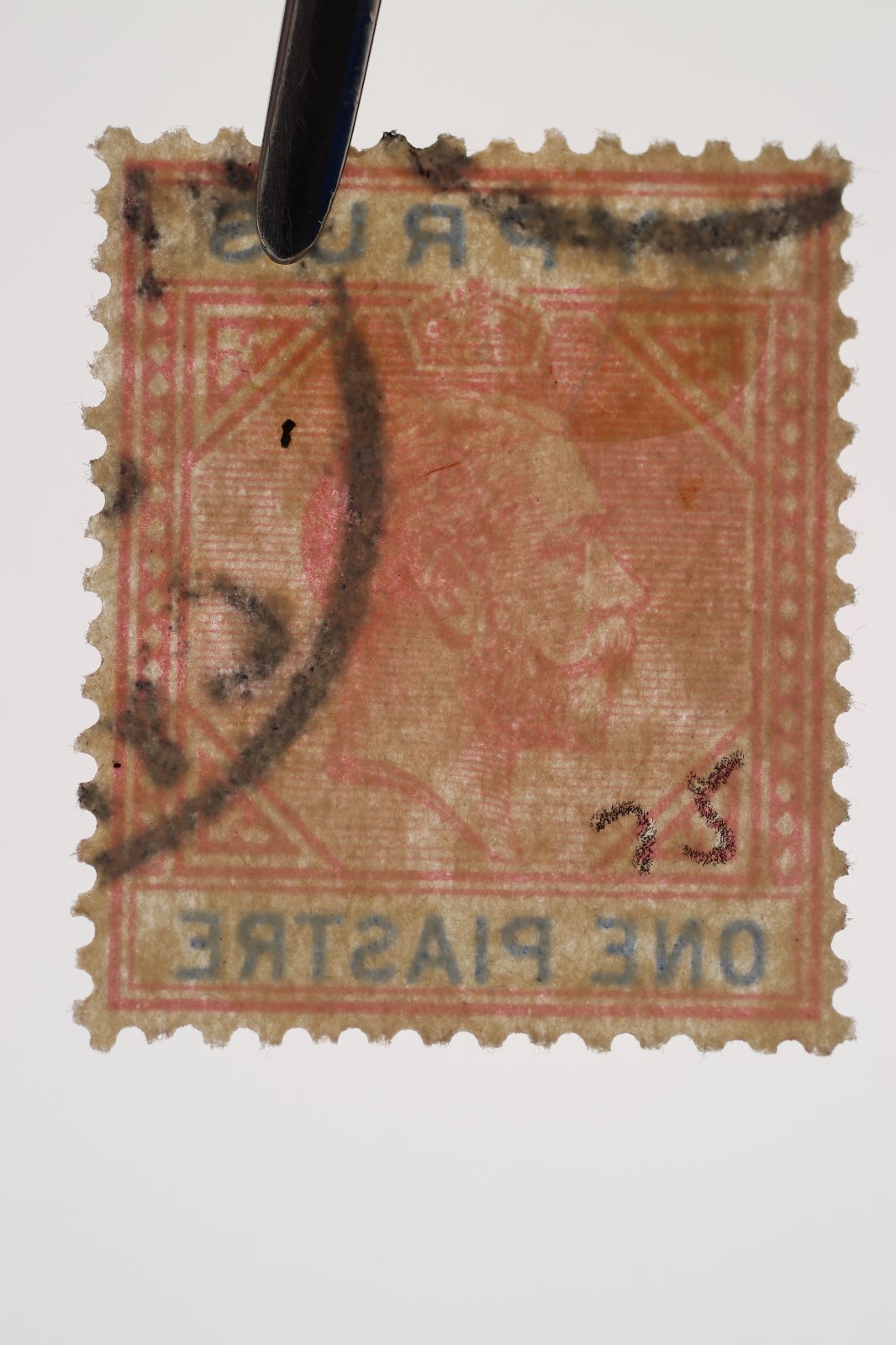 Picture 3