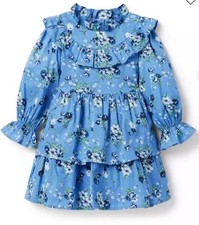Janie and Jack Dress Sz 4 The City Garden Blue Floral Boho Prairie Cottagecore