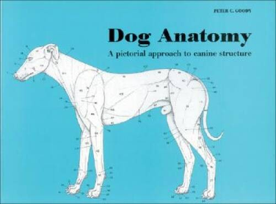 #ad #ad Dog Anatomy: A pictoral approach to canine structure Paperback VERY GOOD $7.83