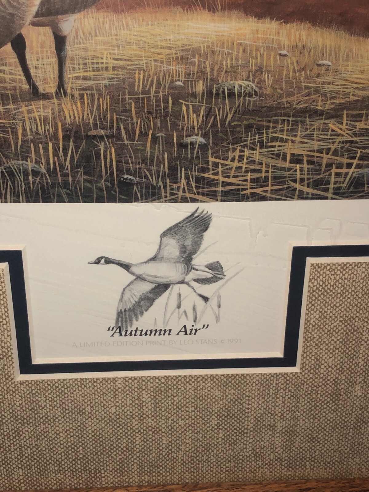 Picture 6 of 8