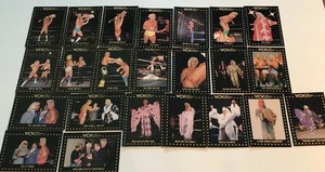 Ric-Flair-WCW-1991-Collectors-Cards