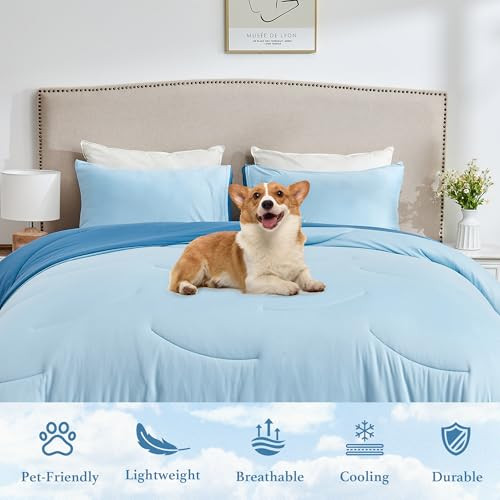 Queen Size All-Season Reversible Comforter Set - Lightweight Cooling Blanket, - 第 5/7 張圖片