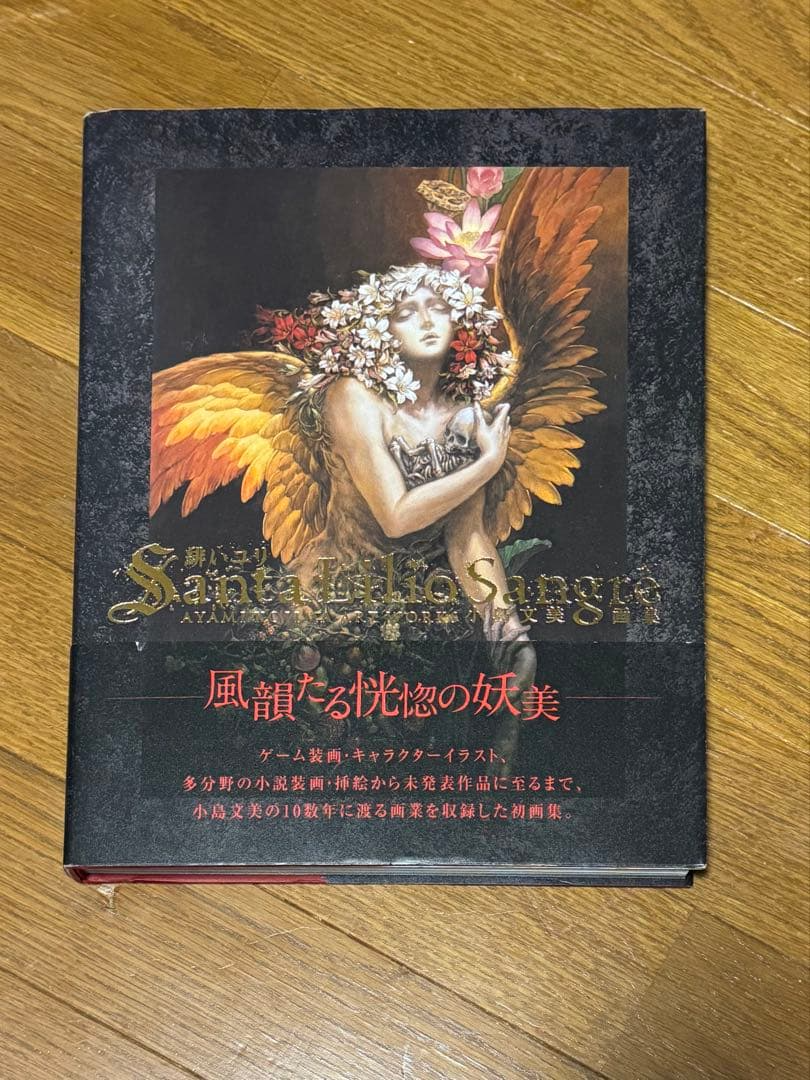 Santa Lilio Sangre Hard cover Art Book Kojima Ayami Akai Yuri
