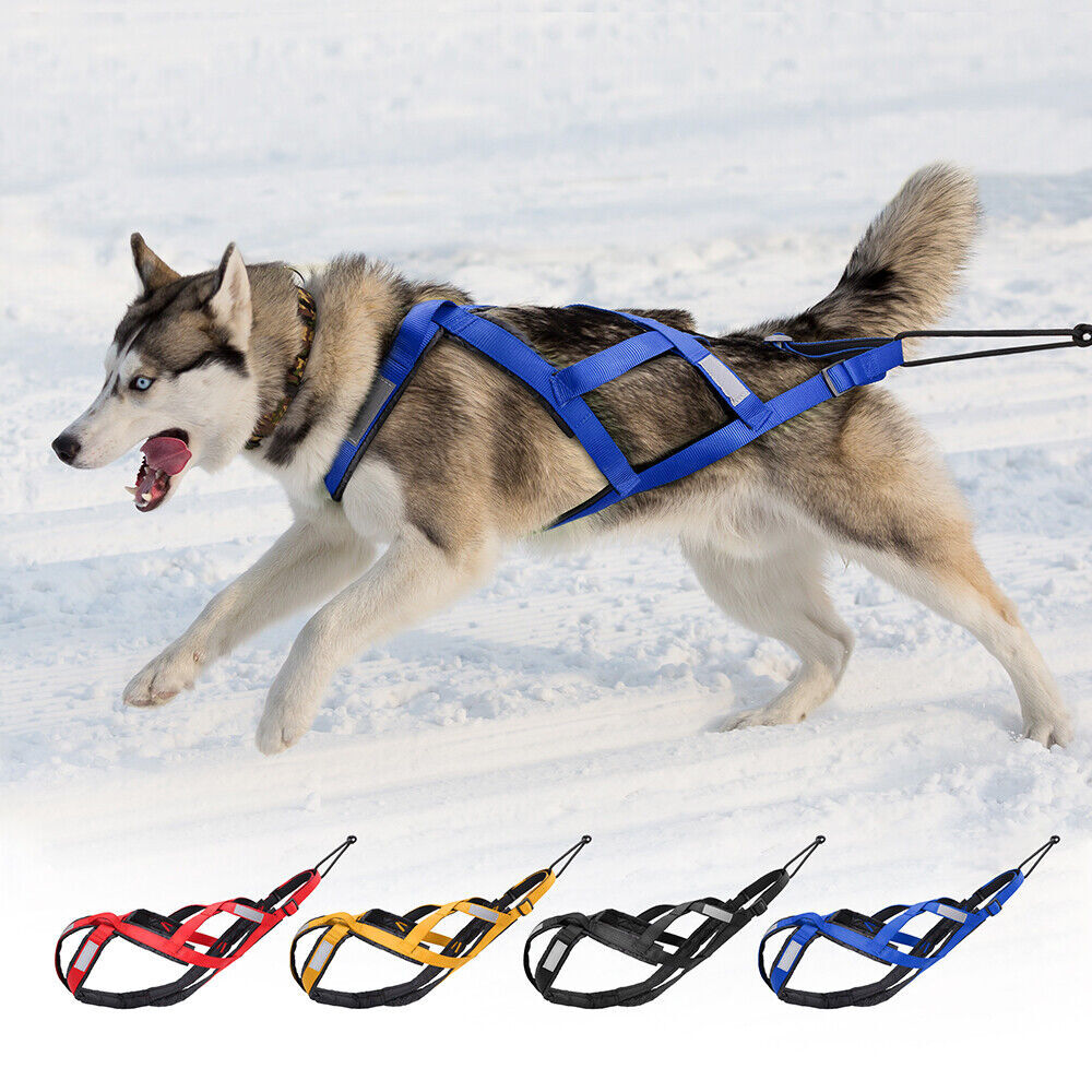 X Back Sledding Dog Weight Pulling Harness Nylon Reflective