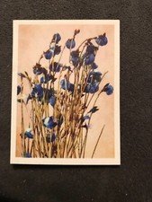 Tobacco Card, UTC, OUR SOUTH AFRICAN FLORA, 1940, Bloukeur, #47
