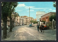 Cartolina Tolfa Roma Viale Italia (CR966)