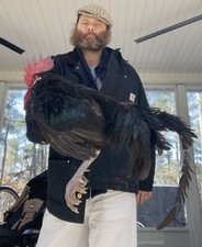 55¢French national🇫🇷 Egg Masters🐣Limousin Bleau  Barbezieux⛳️Augusta,GA30809