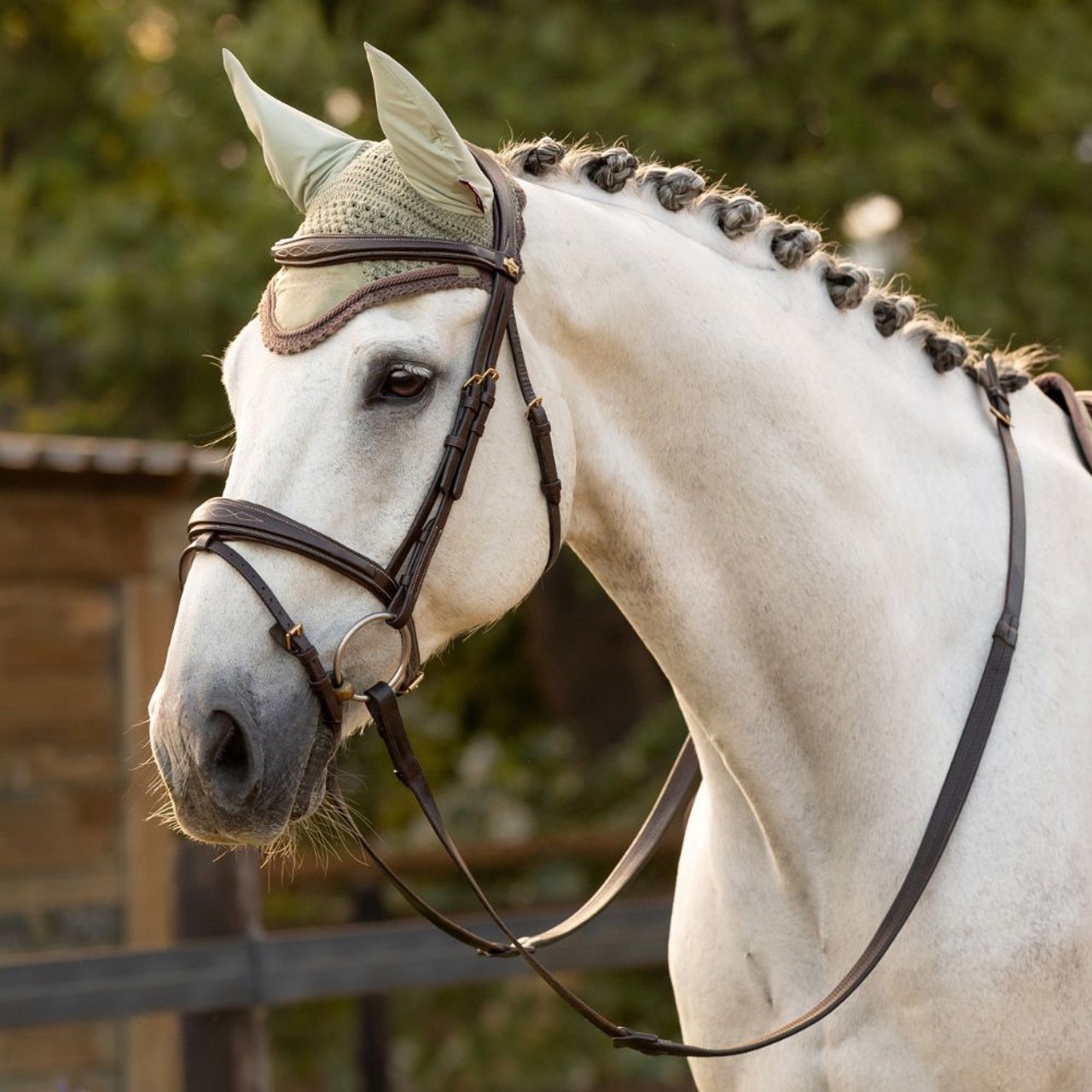 LeMieux Classic Fly Hood - Fern - Extra Large