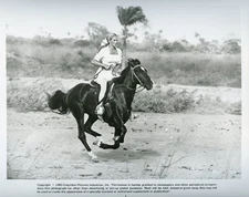 THE SOUTHERN STAR 8x10 b/w Press Photo / Ursula Andress