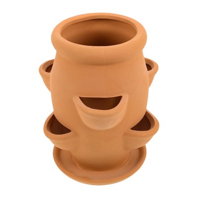 Keramikton Erdbeer Sukkulenter Pflanzer Indoor Outdoor Gartentopf