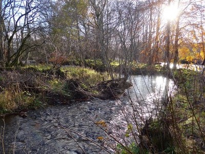 Foto 6x4 In der Nähe des Zusammenflusses des Turms Burn und des Flusses Verdienen Sie Brief c2017