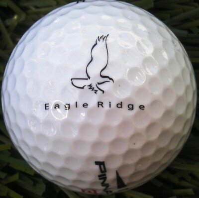 Eagle Ridge Golf Club Pinnacle logo ball new #597