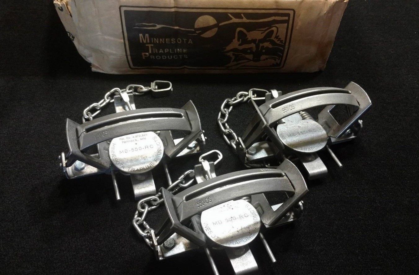 Hunting Sporting Goods Trapping Supplies 6 MB 550RC TRAP OFFSET CAST JAW'S 2 COIL TRAPPING