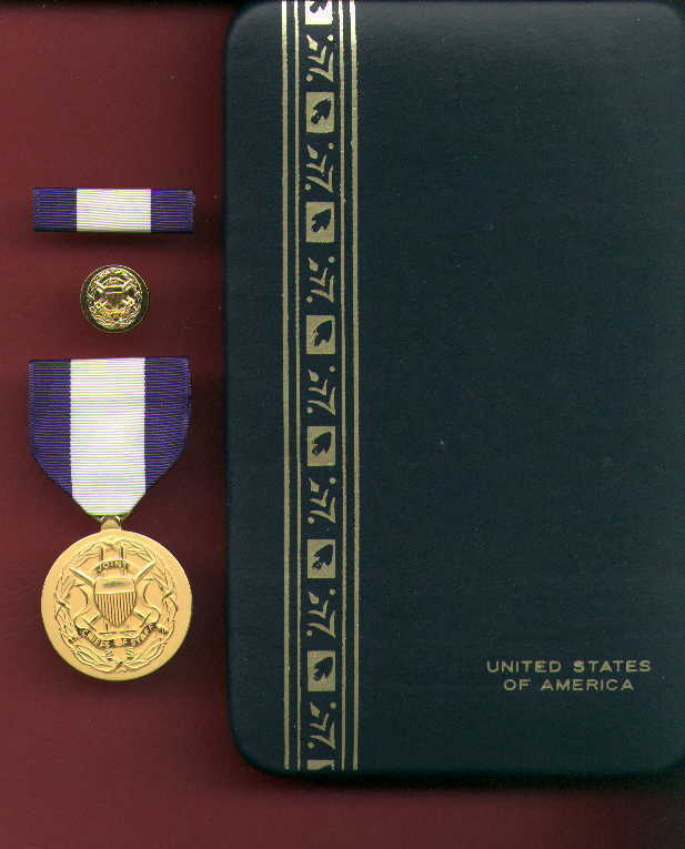 Joint Chiefs Staff Award medal Service in case with ribbon bar and lpin ...