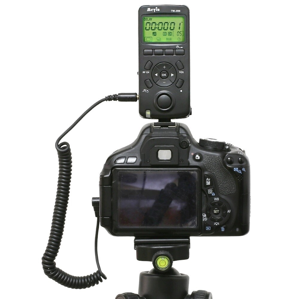 Picture 5 of 6