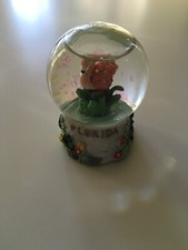Oryginalna pamiątka Florida Snow Globe (Mini)