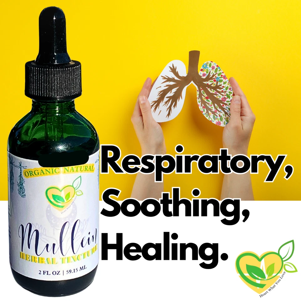 Tintura de hoja de gordolobo extracto de gotas líquidas naturales 2 OZ pulmones respiración respiratoria Foto 2 de 4