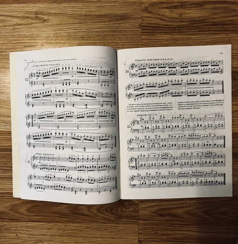 Selected Czerny Studies By Emil Liebling - Picture 3 of 3