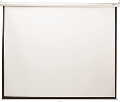 Da-Lite Model B (40197) 119'' 1:1 Projector Screen