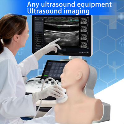 Ultrasound Phantom CVC Puncture Jugular Subclavian Pulsation Medical Education