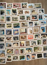 65 Drew Strouble Cat Art Prints +Catalog Wholesale Lot NOS Offset Lithographs