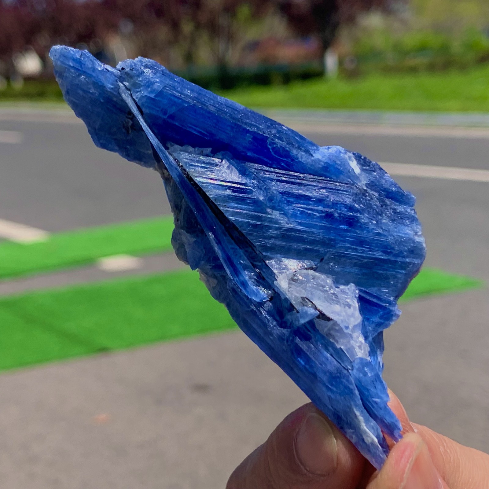 80G Rare!! Natural beautiful Blue KYANITE with Quartz Crystal Specimen Rough