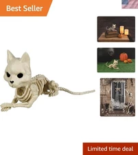 5" Tall Cute Skeleton Cat - Perfect for Home Aesthetics & Halloween Fun