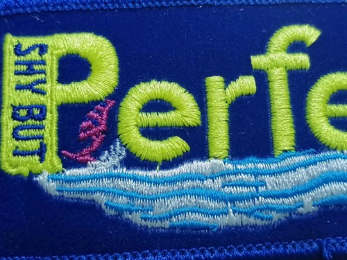 NEW Vintage Voyager Shy But Perfect Retro embroidered patch Iron-on or sew Cool! - Picture 2 of 3