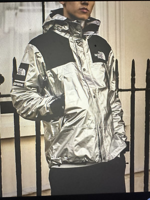 Supreme The North Face Metallic Mountain Parka Silver Size Large