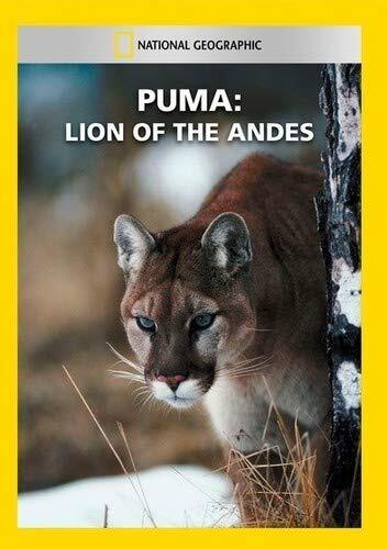Puma: Lion of the Andes (DVD)