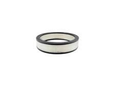 For 1968-1969 Buick GS 350 Air Filter Baldwin 81473NNJK 5.7L V8