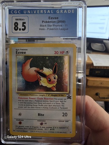 Eevee (BW97)