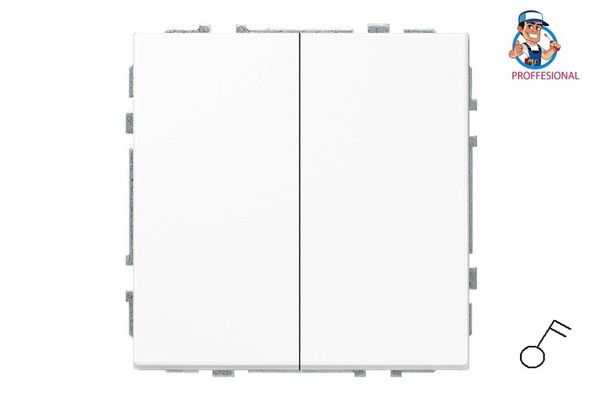 Liregus Modern Schalter 2-Fach, Unterputz, Mattweiß, 10A 250V, Federkontakte-image