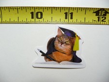 FUNNY CAT KITTEN SMALL STICKER DECAL STUDENT SCHOOL COLLEGE PET FELINE